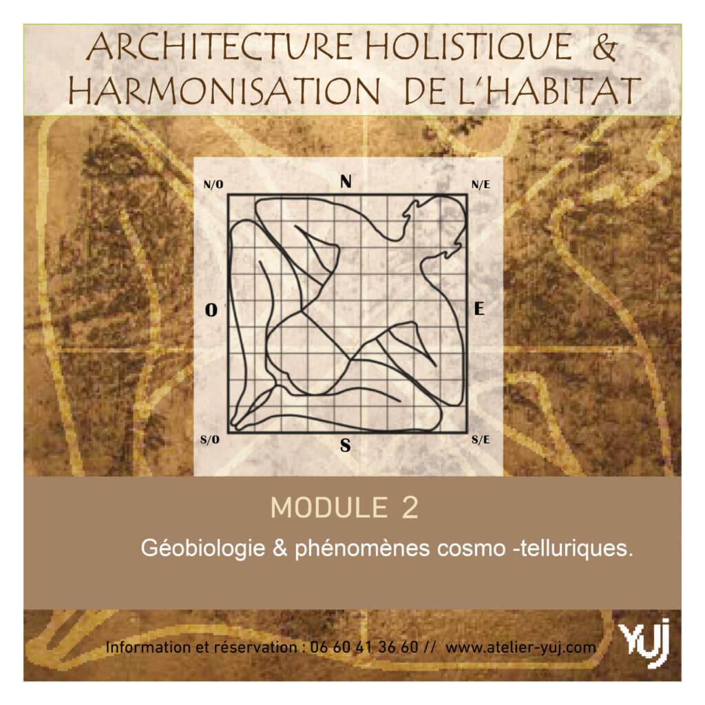 formation geobiologie